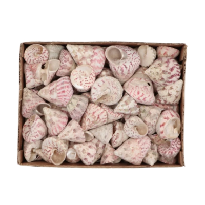 Product Ut Kuc Wz Z afbeelding