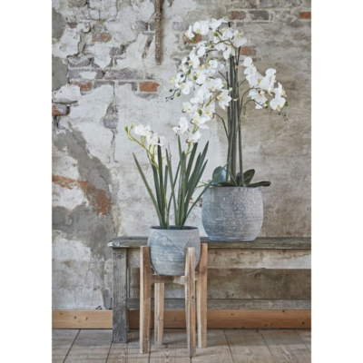 Product v Ey Ux Pmb afbeelding