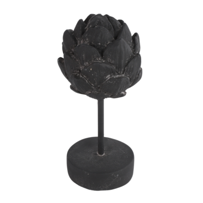 Product uwy Zs F Wb afbeelding