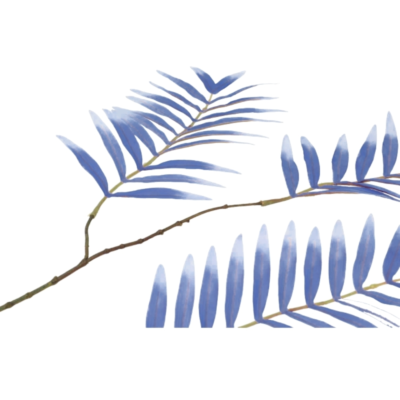 Product d J Ub O Bm K afbeelding