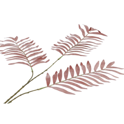 Product pocq WYIK afbeelding