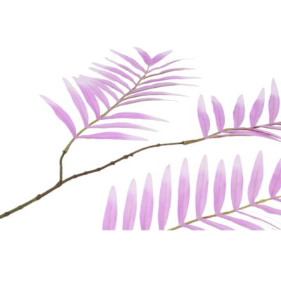 Product Ij Qbpe UC afbeelding