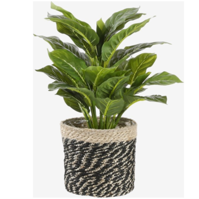 Product a G Lhymif afbeelding