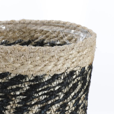 Product MG Ume Npd afbeelding