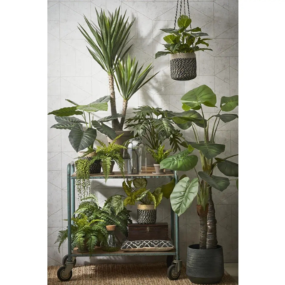 Product Pf O Six RL afbeelding