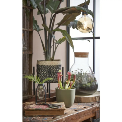 Product e Ybad B Xp afbeelding