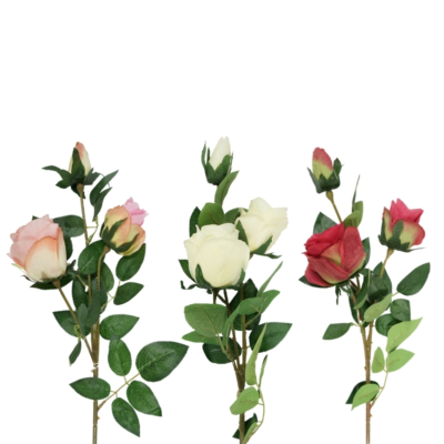 Product Iyfnbjok afbeelding
