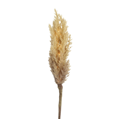 Product Ue C Ljmhq afbeelding