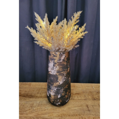 Product DX Iwtz GC afbeelding