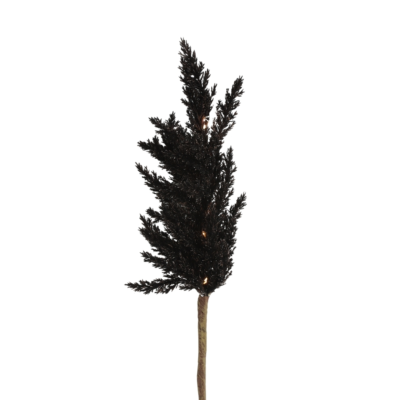 Product re H Ma VCT afbeelding