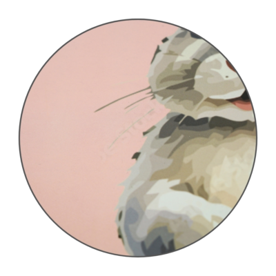 Product Vdsl F Wx Y afbeelding