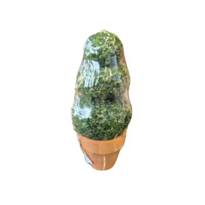 Product Aac VNLGI afbeelding