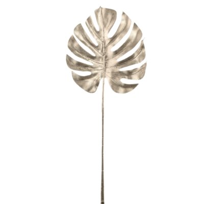 Product hj G Fzs Aa afbeelding