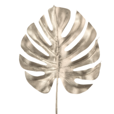 Product SI Vni Umc afbeelding