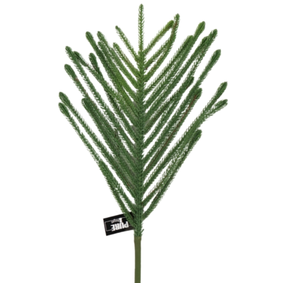 Product Wm Ad Vu Dy afbeelding