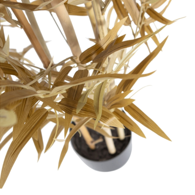 Product Nq Xo Fsbj afbeelding