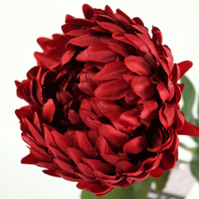 Product v OU Vexly afbeelding