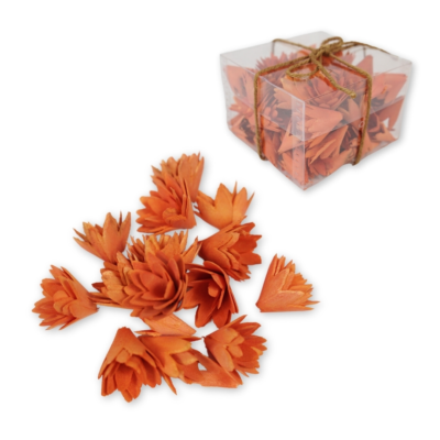 Product syc NHCFV afbeelding