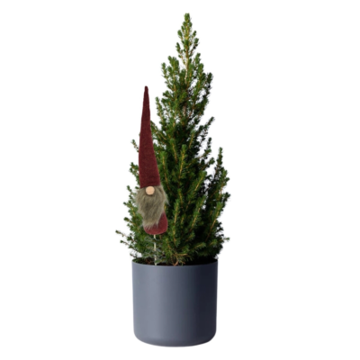 Product y Av Oq Xgs afbeelding