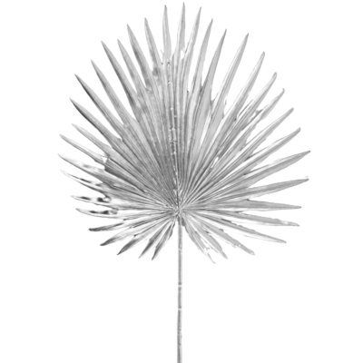 Product n Wkt SX Rs afbeelding