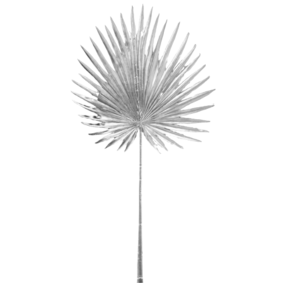 Product Fx UW Pctv afbeelding