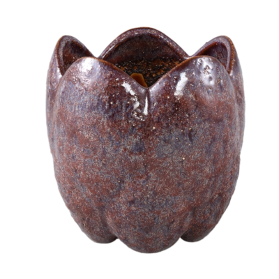 Product C Xhmg Gs T afbeelding