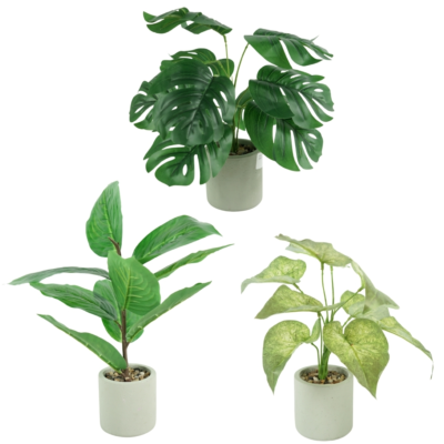 Product zwr Md Qn X afbeelding
