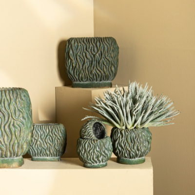 Product SL Hoy Cbe afbeelding