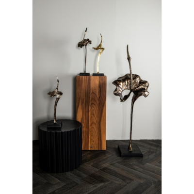 Product GV Ss W Jw X afbeelding