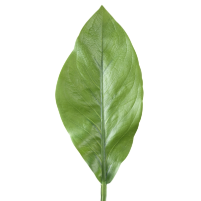 Product fj Rb O Eh M afbeelding