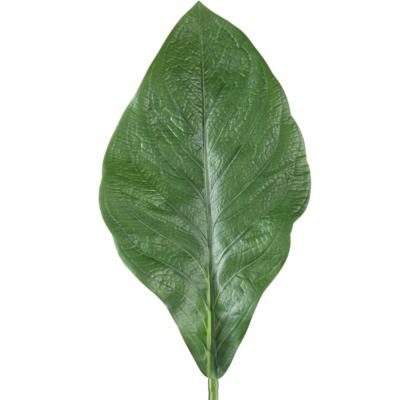 Product Ro Vy N Qfi afbeelding