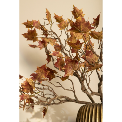 Product HJID Lgi U afbeelding