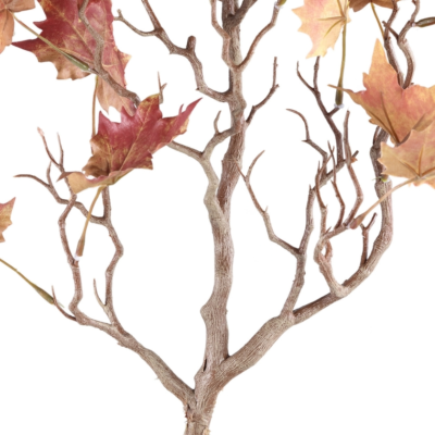 Product qmslcb Lp afbeelding