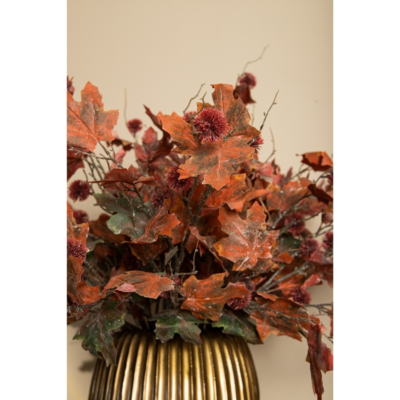 Product Rop Ou P Jh afbeelding