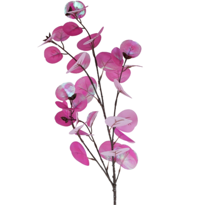 Product s ENR Ma Fv afbeelding