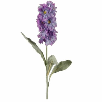 Product Em Lb C Yw K afbeelding
