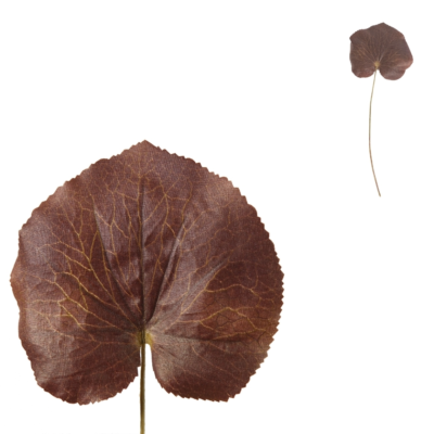 Product sunx Vvlq afbeelding