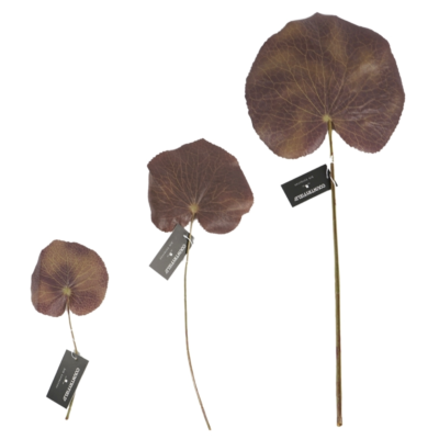 Product d Gp Yit FL afbeelding