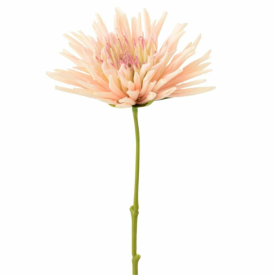 Product ZUGO Rq TB afbeelding