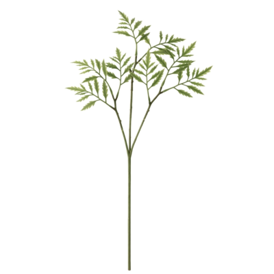 Product cgq Whira afbeelding