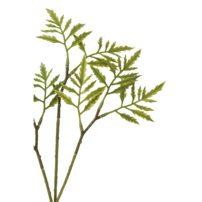 Product loj X Sixz afbeelding