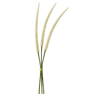 Product Ohj XKYSQ afbeelding