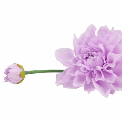 Product Mo Ag PH Su afbeelding