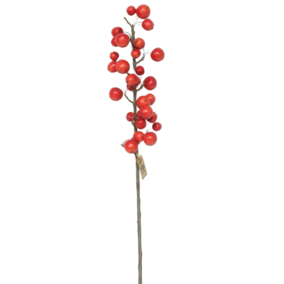 Product sk Uvfd LR afbeelding