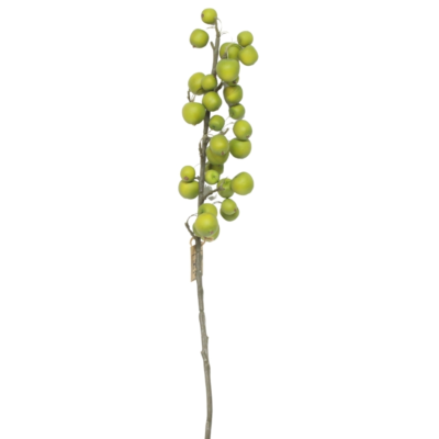 Product Wzgp Yf GZ afbeelding