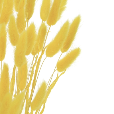 Product Bz Ic M Rt Z afbeelding