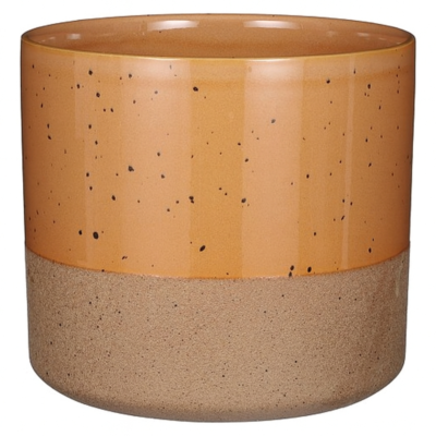 Product xtd Qof Jk afbeelding