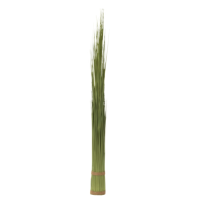 Product xv ECI Bm R afbeelding