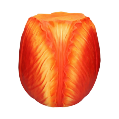 Product g ANB Cp UD afbeelding