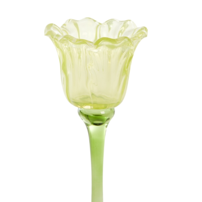 Product DP Sngsxb afbeelding